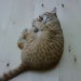 BBMai2009_010