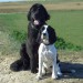 Sally Apolant und Nessie Eschenberg